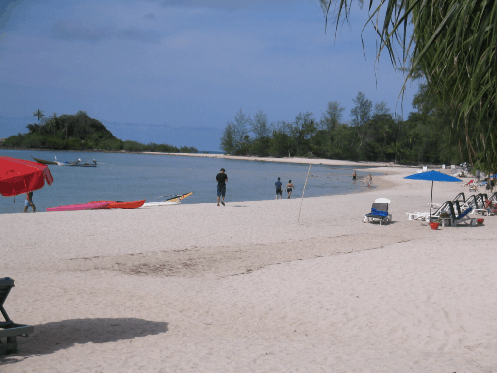 a sandy beach