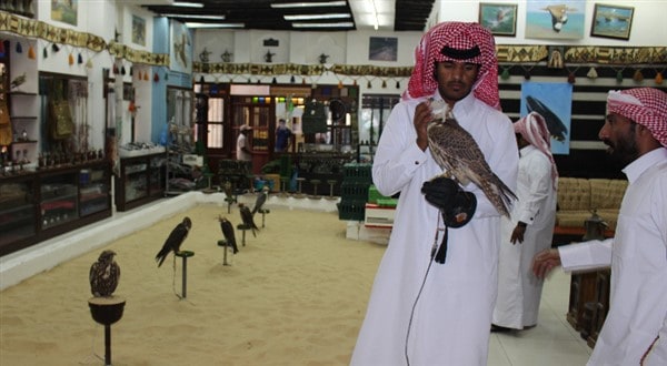 man with falcon