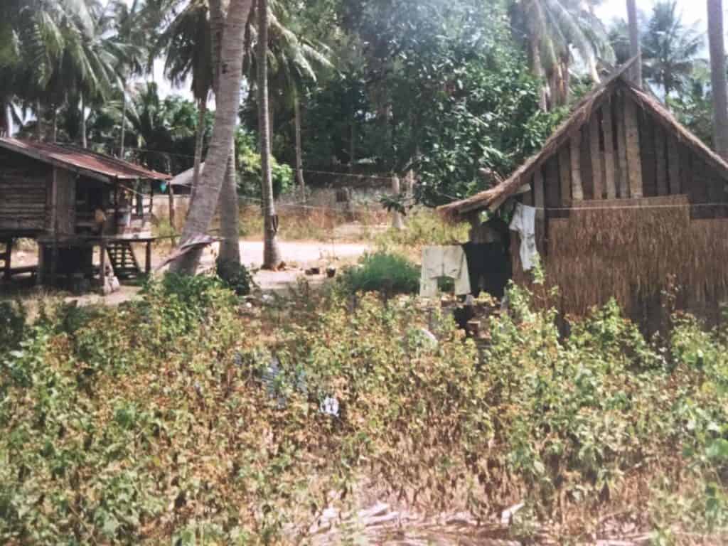 jungle hut