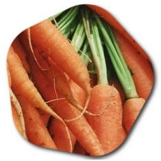 carrots