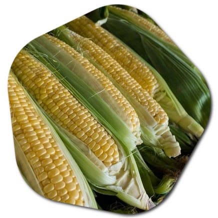 Corn