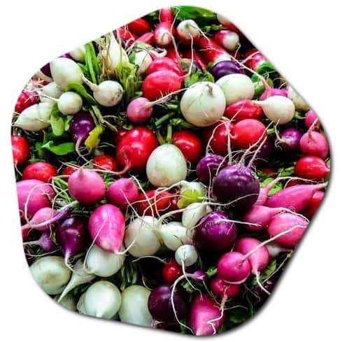 radishes