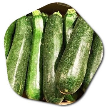 zucchini
