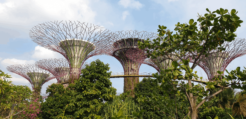 gardens by the bay