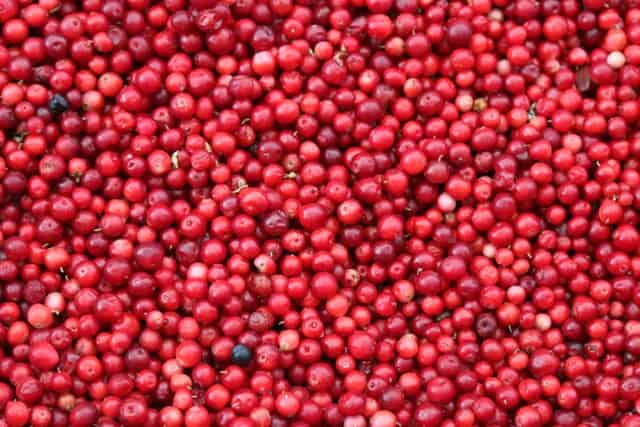 cranberries fall