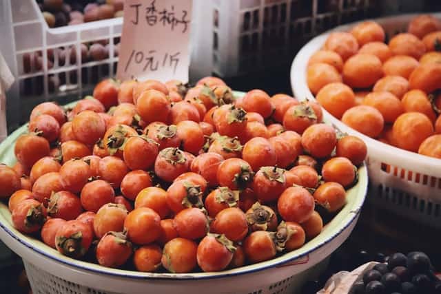 persimmons in fall