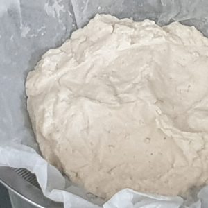 homemade ricotta cheese