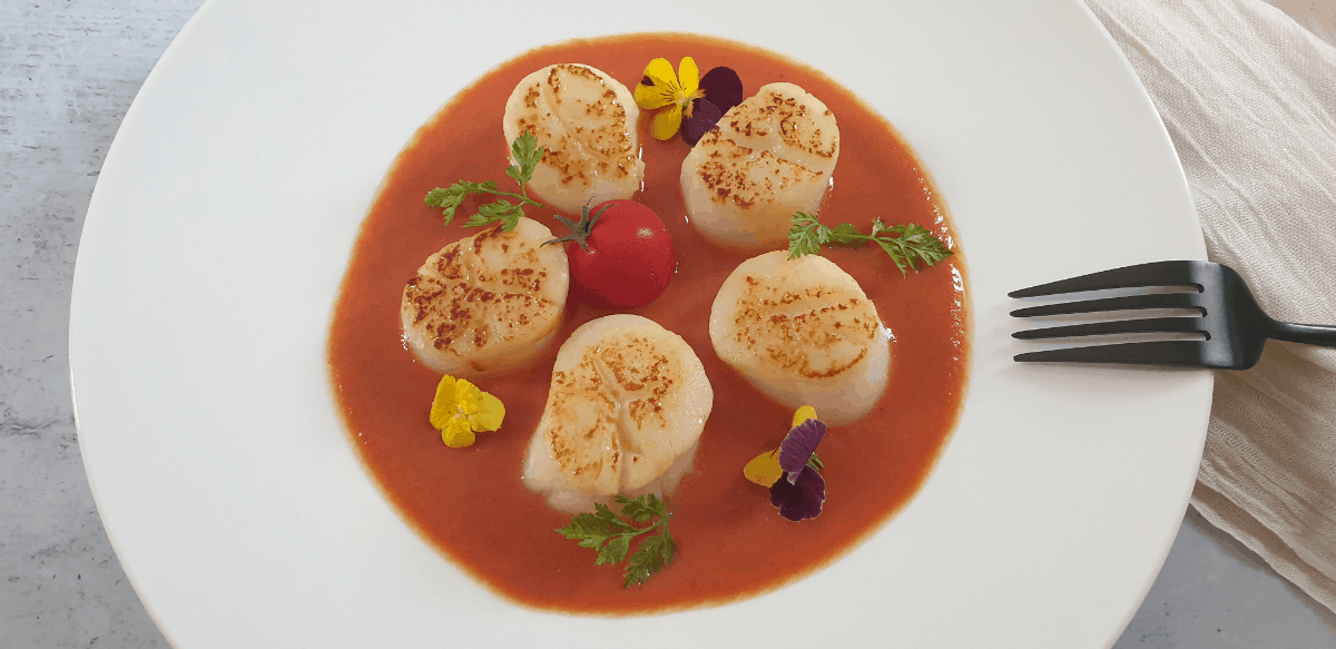 Pan Seared Hokkaido Scallops with Tomato Coulis Culinary Ambition