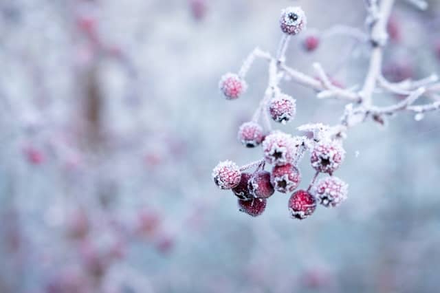 products in winter