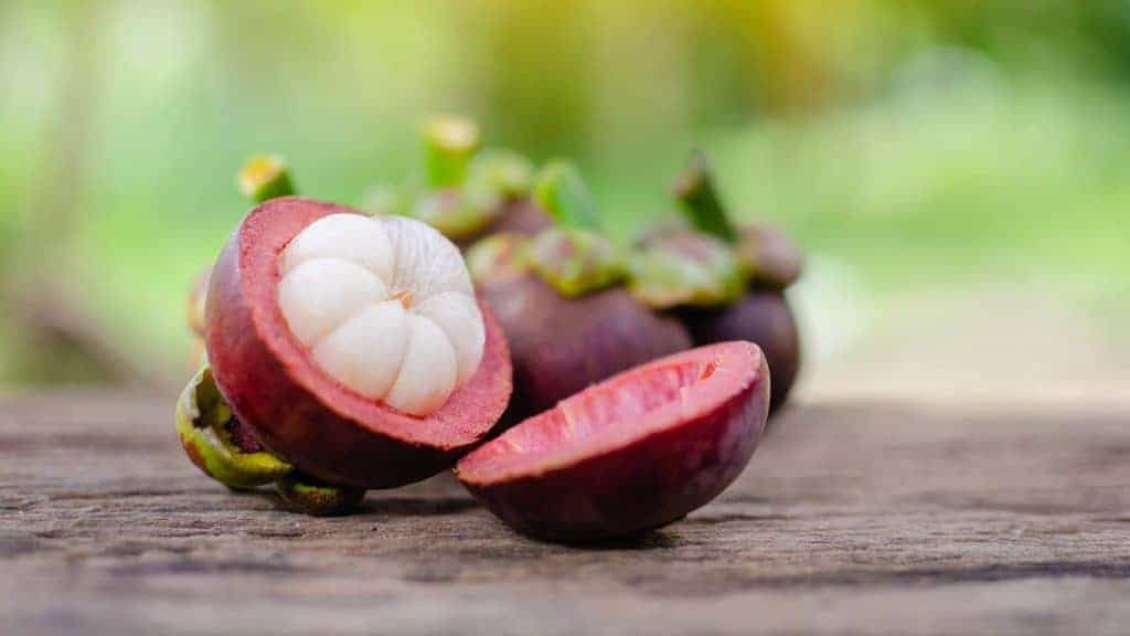 mangosteen