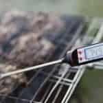 5 Best meat thermometers