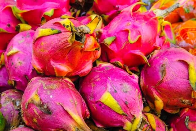 dragon fruit