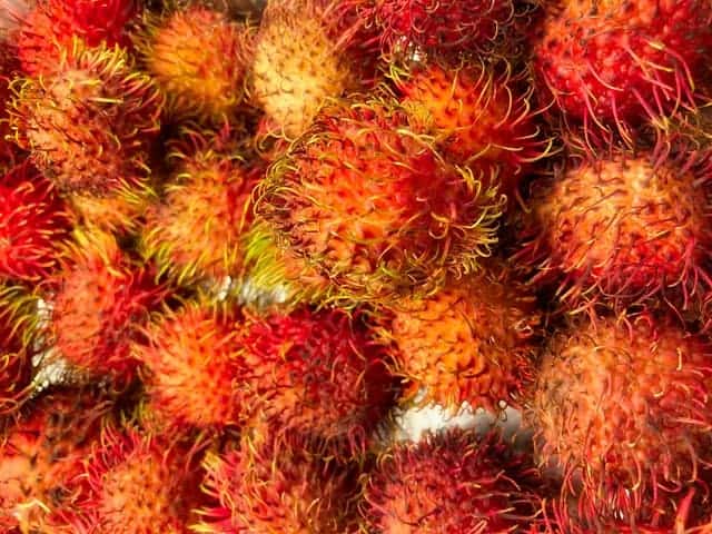 rambutan