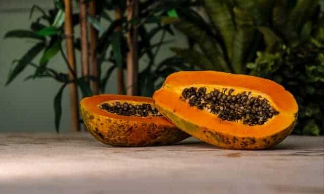 papaya