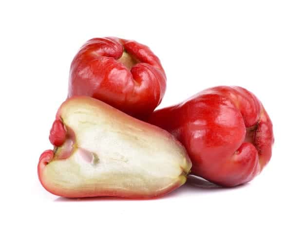 rose apple