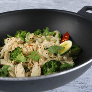 rice noodles with chicken