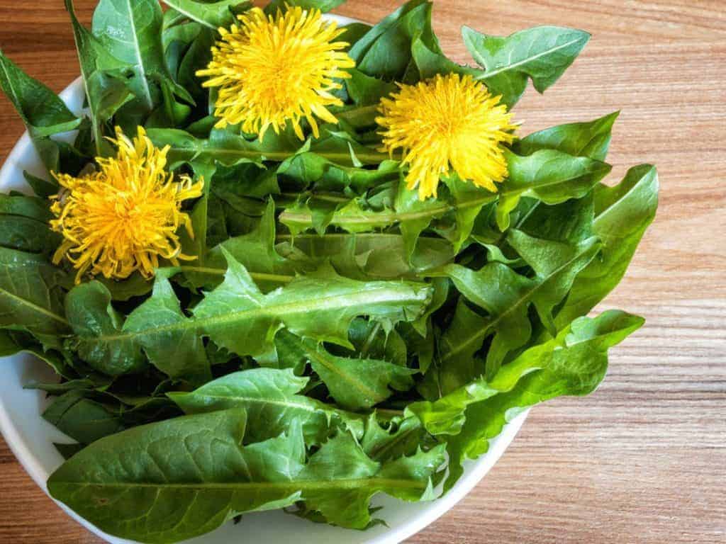 dandelion greens