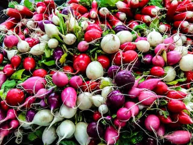 radishes