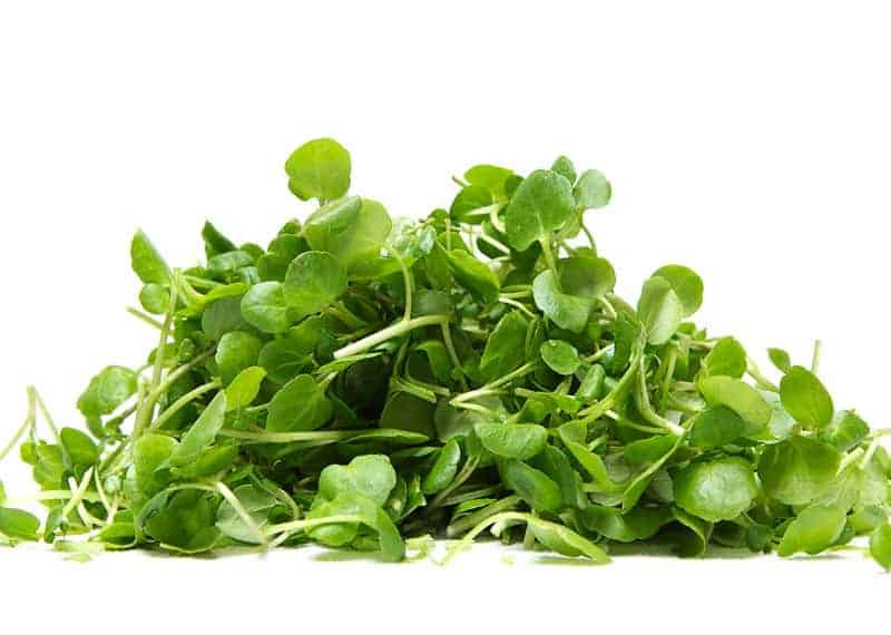 watercress