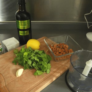 coriander pesto ingredients