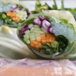 Fresh vegetarian Vietnamese spring rolls