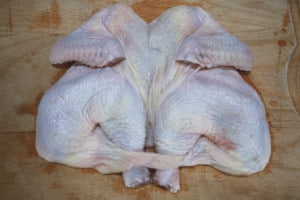 fix legs of baby chicken in cut skin