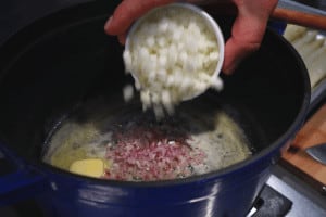 fry onion until translucent