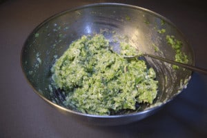 mashed broccoli