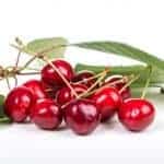 5 Best Cherry Pitters
