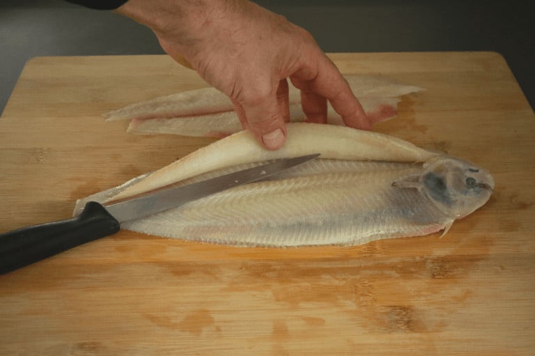How to Fillet a Flat Fish