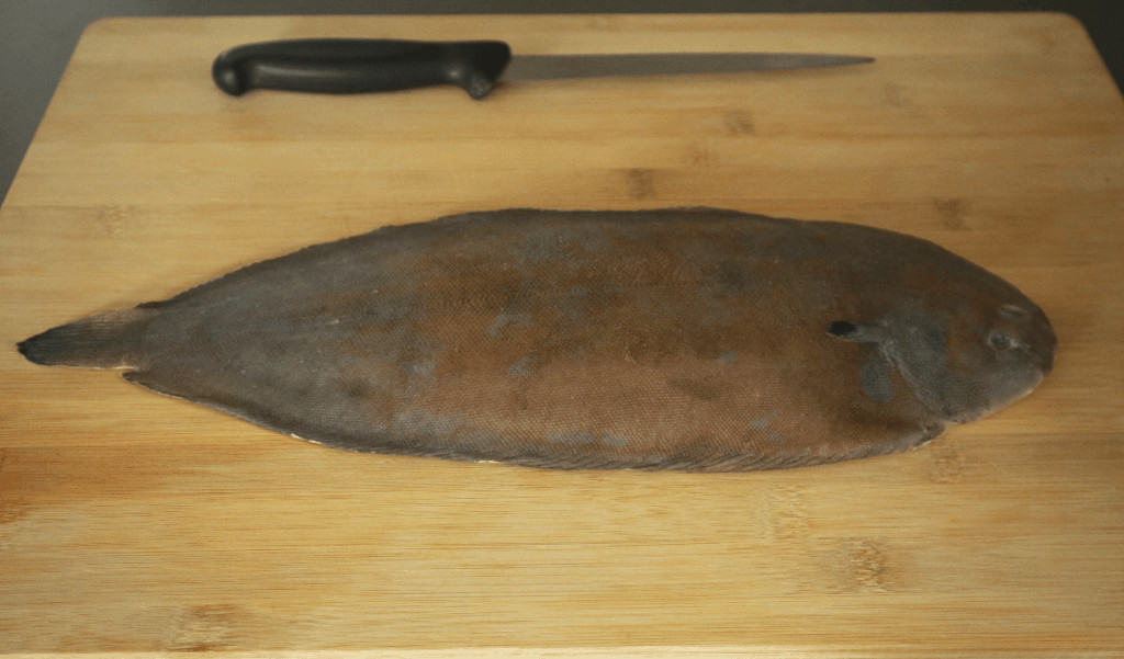 flat fish