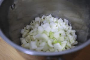 stir fry fennel and onion