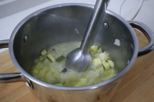 blend fennel soup