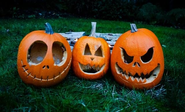 The Humble Pumpkin: From Obscure Gourd to Halloween Staple