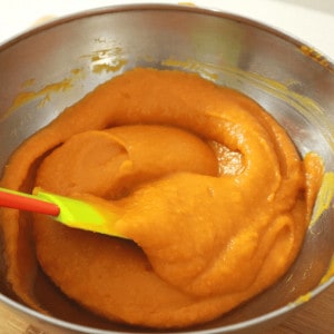 steamed pumkin puree