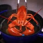 Best way to poaching Lobsters
