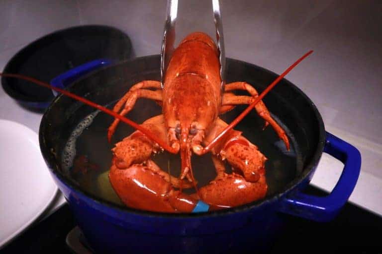 Best way to poaching Lobsters