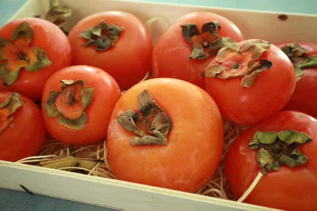 fresh persimmons