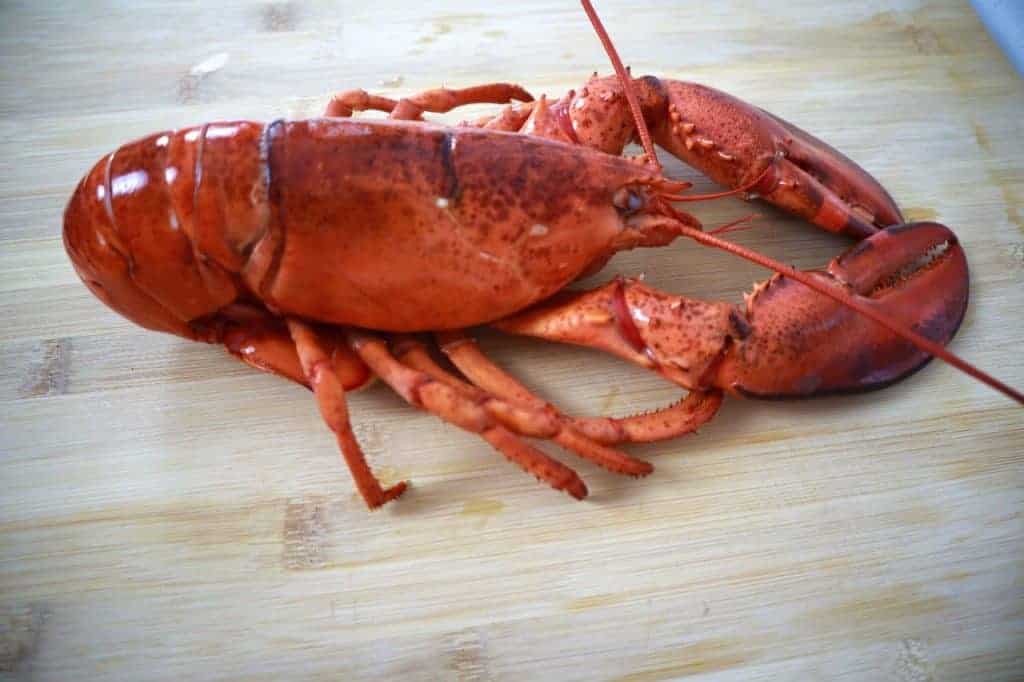 How to de-shell a lobster