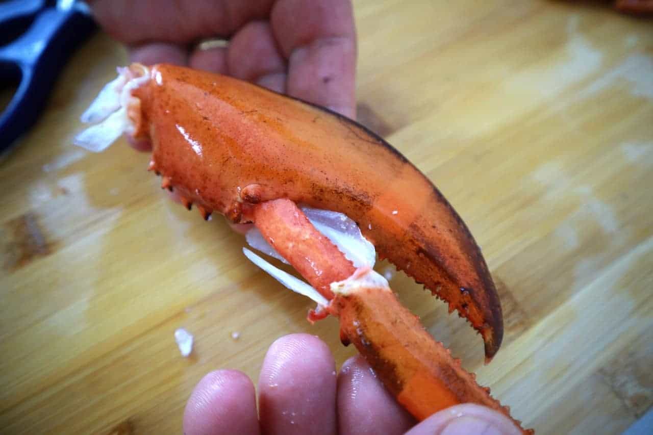 How To De-shell A Lobster - Culinary Ambition