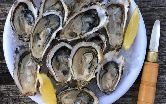 freshly opened oysters