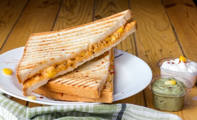 6 Best Panini Sandwich Presses