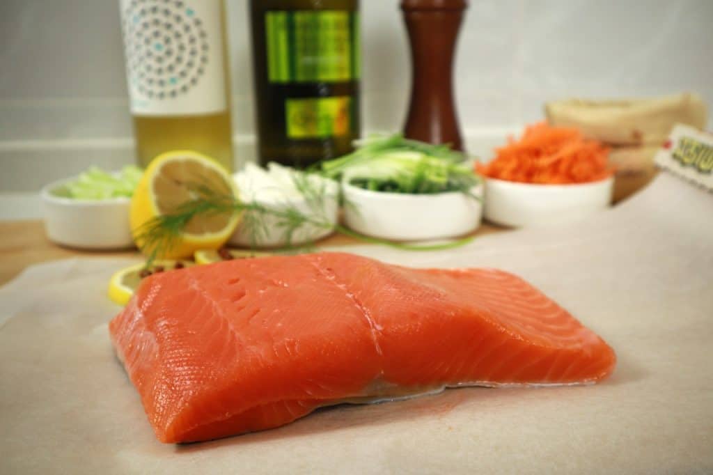 salmon