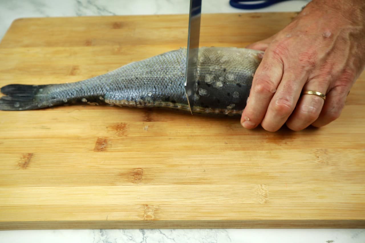 filleting round fish how to fillet a round fish - filleting round fish 2 scaling the fish - How to Fillet a Round Fish