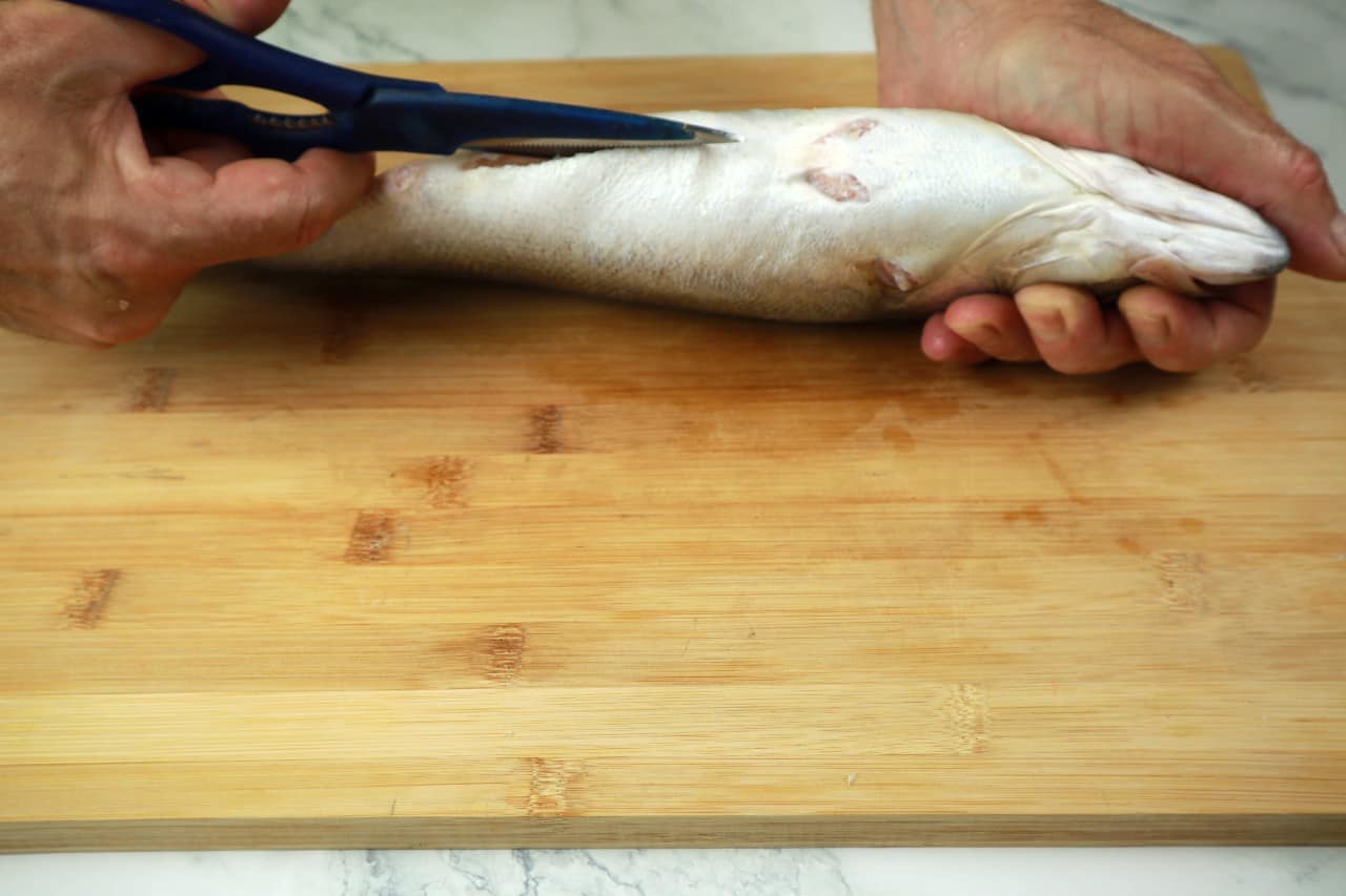 filleting round fish how to fillet a round fish - filleting round fish 3 cut the belly - How to Fillet a Round Fish