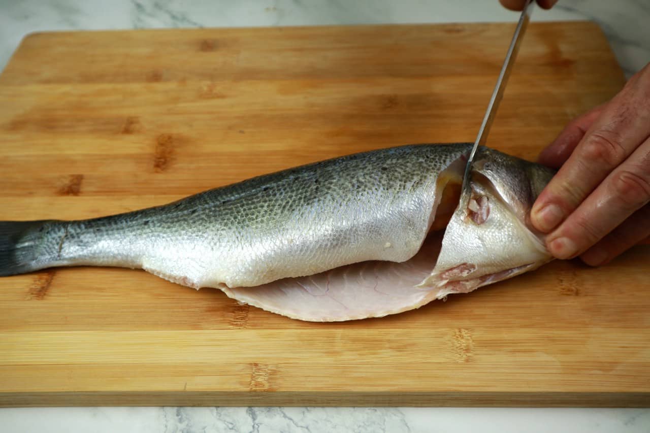 filleting round fish