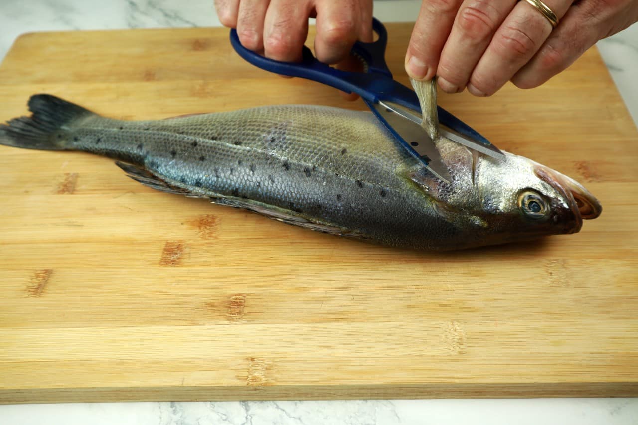 filleting round fish how to fillet a round fish - filleting round fish cut the fins - How to Fillet a Round Fish