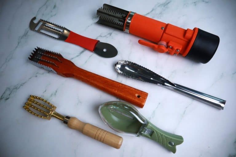 7 Best Fish Scalers for easy Fish Scaling