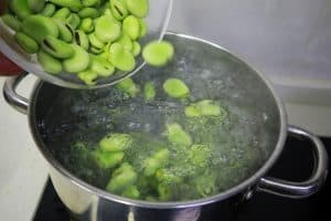 boiling fava beans