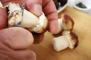 cleaning mushrooms